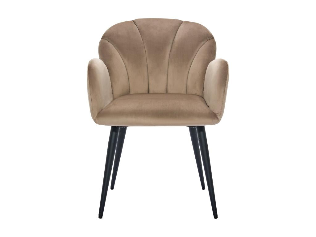 Set of 2 chairs with armrests in velvet and black metal - Beige - Domopure FQPB92960